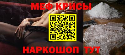 гашик Кингисепп