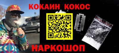 гашик Кингисепп