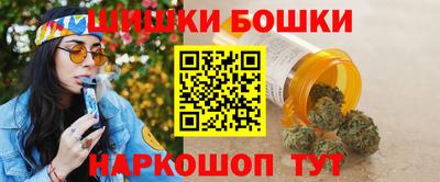 гашик Кингисепп
