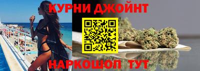 гашик Кингисепп