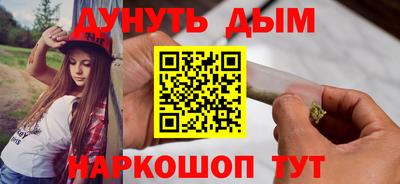 гашик Кингисепп