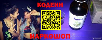 гашик Кингисепп