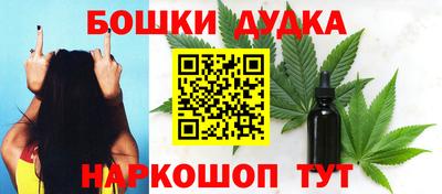 гашик Кингисепп