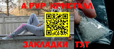 гашик Кингисепп