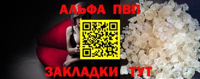 гашик Кингисепп