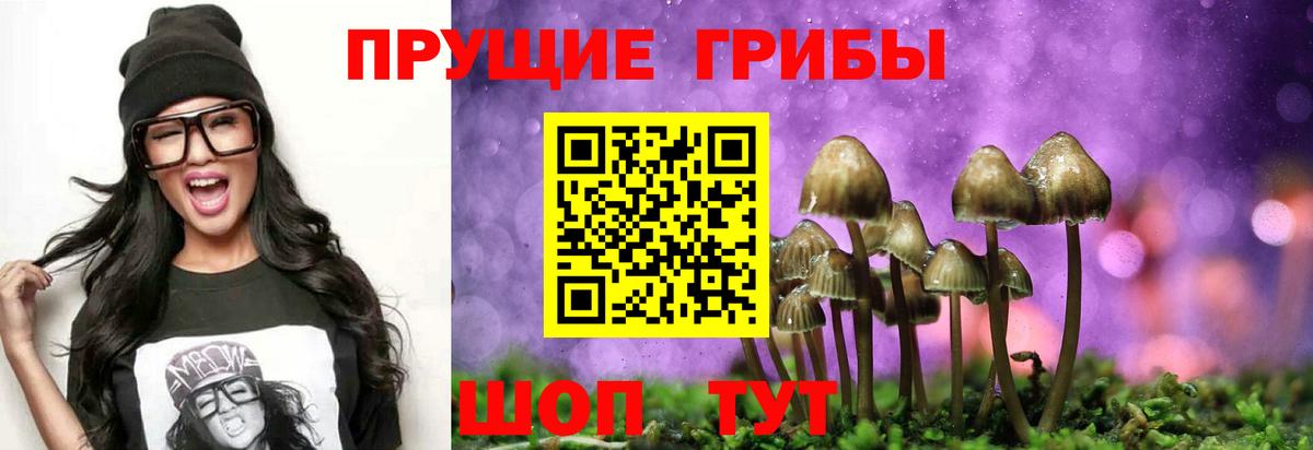 Псилоцибиновые грибы мицелий Заринск